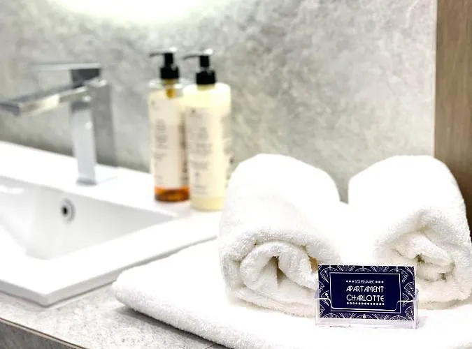 Appartement Apartament Charlotte 1 -Parking-Air Conditioning